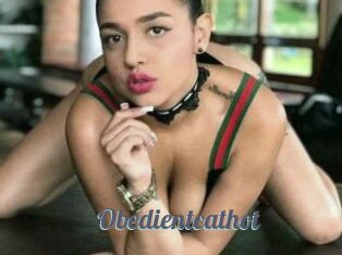 Obedientcathot
