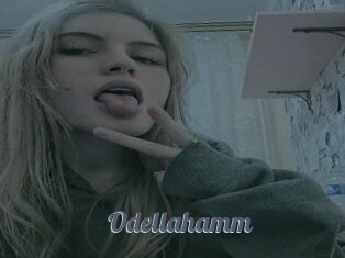 Odellahamm