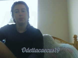 Odettacaecus19