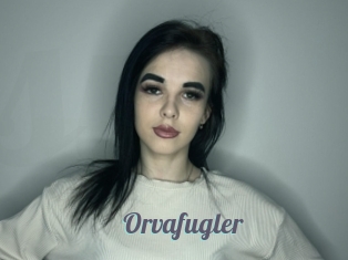 Orvafugler