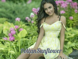 PolianSunflower