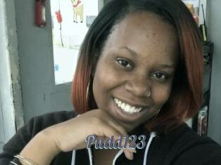 Pudd123