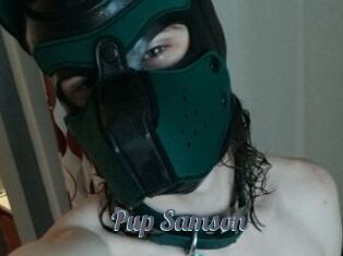 Pup_Samson