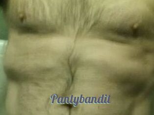 Pantybandit