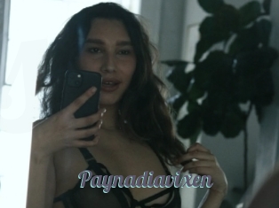 Paynadiavixen