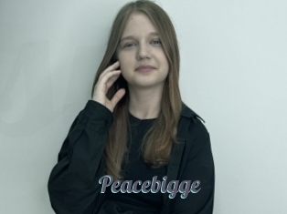 Peacebigge