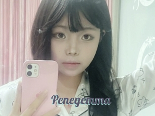 Penegemma