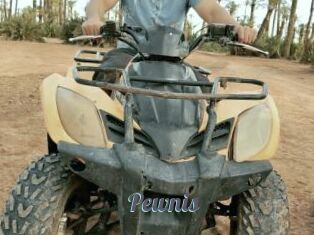 Pewnis