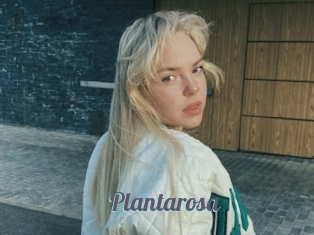 Plantarosa