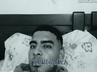 Pollbigdick