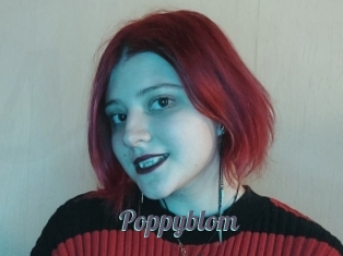 Poppyblom