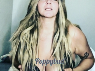 Poppybud