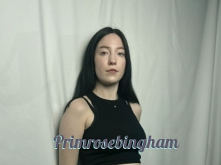 Primrosebingham