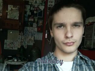 Pulseboy