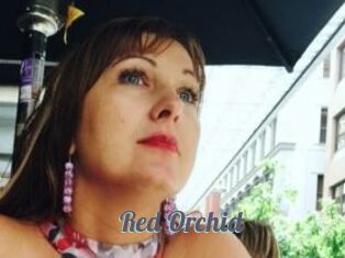 Red_Orchid