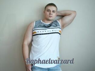 Raphaelvaizard