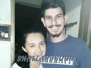 SNAKEANDBUNNY