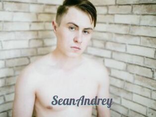 SeanAndrey