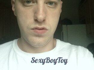 SexyBoyToy