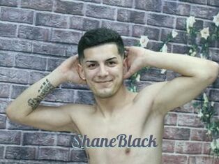 ShaneBlack