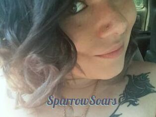 SparrowSoars