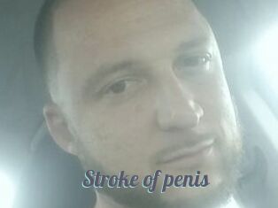 Stroke_of_penis