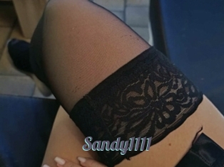 Sandy1111