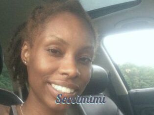 Seccimimi