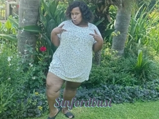 Sinfordbusi