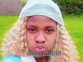 Small_tits018