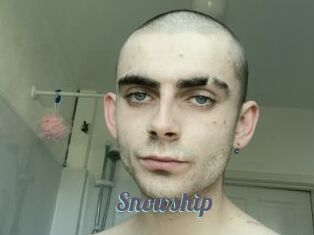 Snowship