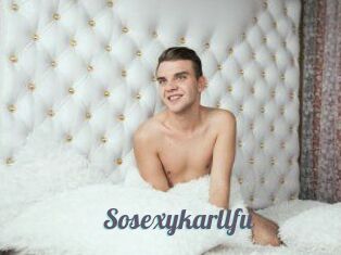 Sosexykarllfu