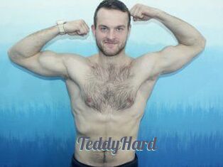 TeddyHard