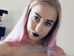 VelvetDaisy