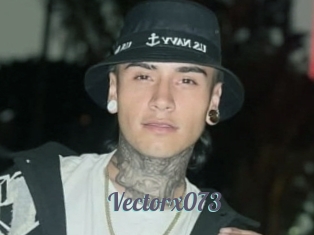 Vectorx073