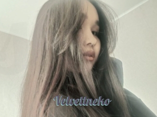 Velvettneko