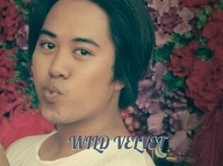 WILD_VELVET