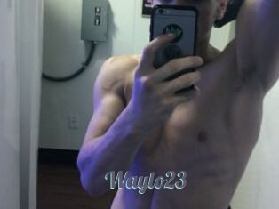 Waylo23