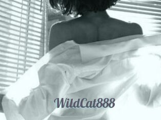 WildCat888
