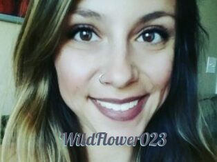 WildFlower023