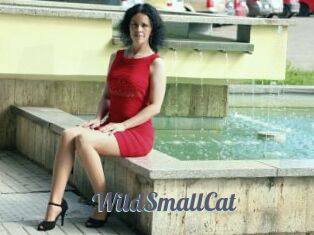 WildSmallCat