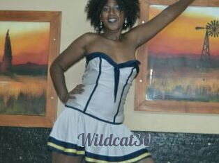 Wildcat30