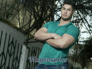 Waynneprice