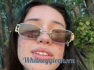 Whitneygleghorn