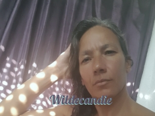 Wildecandie
