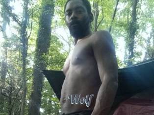 Wolf