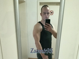 Zsomb95